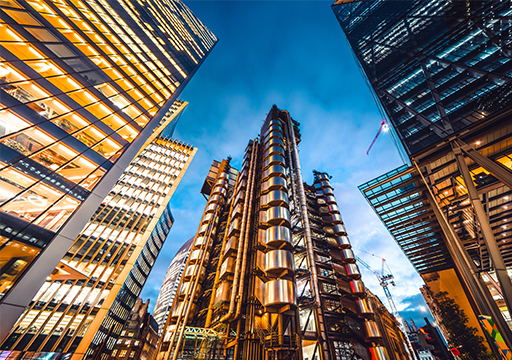 365速发国际(中国)官方网站